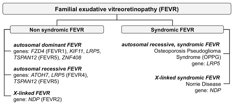 Heterogeneity_EVR_3