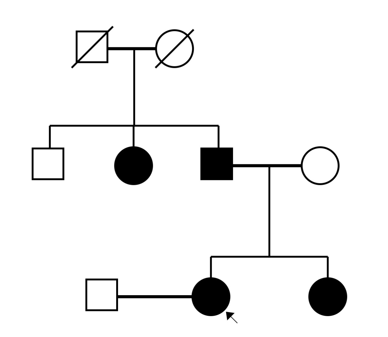 Pedigree